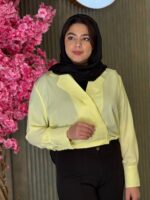 شومیز زنانه مدل یقه انگلیسی - تصویر 3