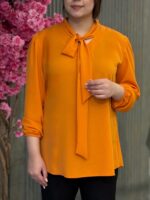شومیز زنانه مدل یقه کراواتی - تصویر 2